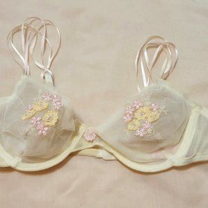 Victoria Secret bra.